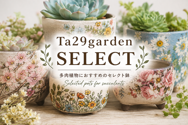 Ta29garden｜韓国鉢・ナチュラルプランター通販｜植物と暮らす器